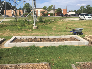 reently competed concrete block raised bed